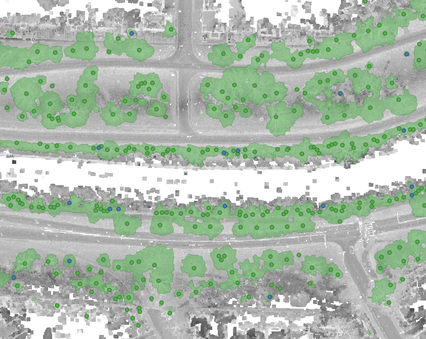 Trees Inventory