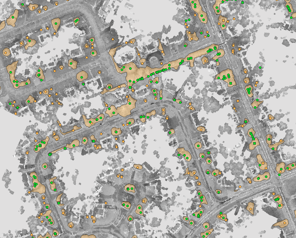 Trees Inventory