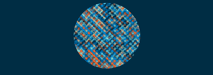 GeoMTL
