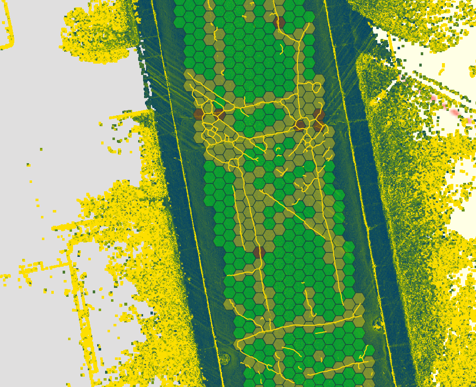 Pavement Condition